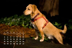 4892561314_951d8ae04a_b